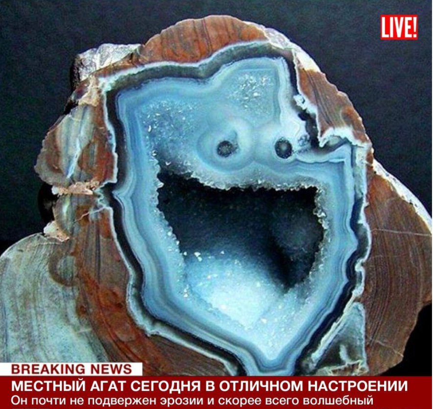 �������, ���������� � �������� ����