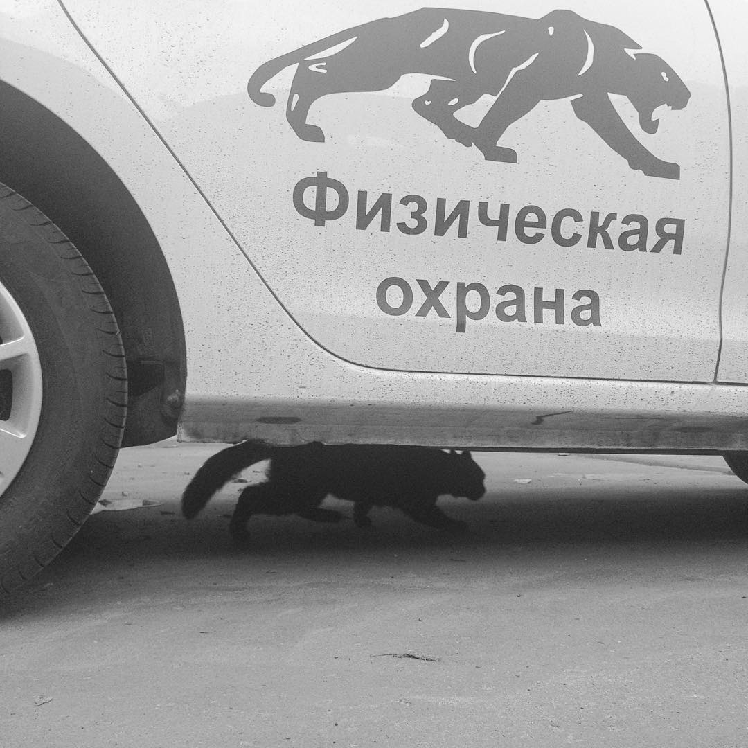 �������, ���������� � �������� ����