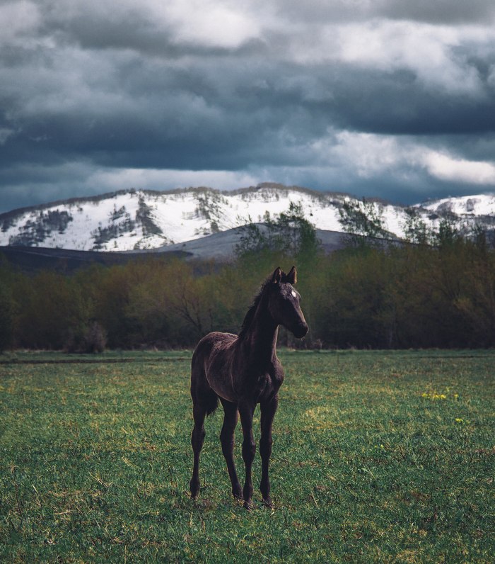 �������, ���������� � �������� ����