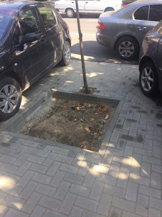 �������, ���������� � �������� ����