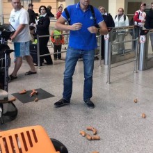 �������, ���������� � �������� ����