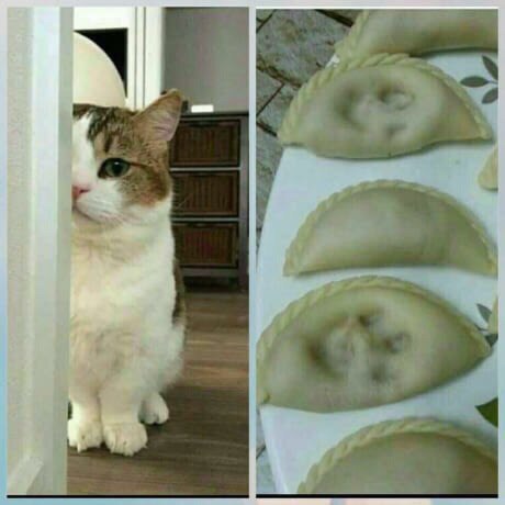 �������, ���������� � �������� ����