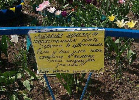 �������, ���������� � �������� ����