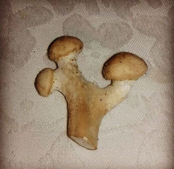 �������, ���������� � �������� ����