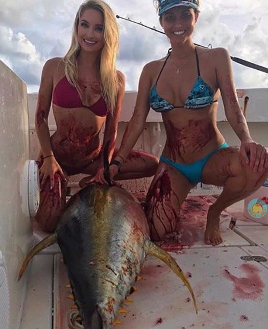 �������, ���������� � �������� ����