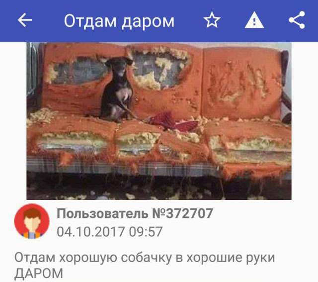 �������, ���������� � �������� ����