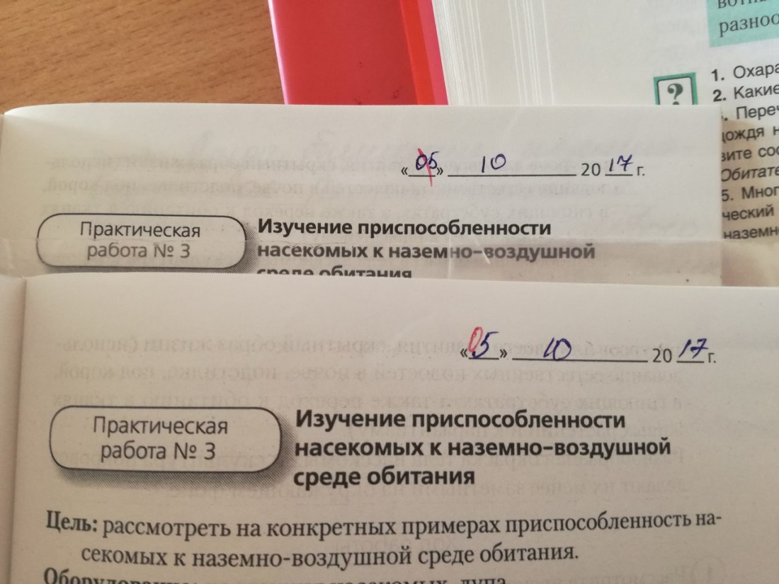 �������, ���������� � �������� ����