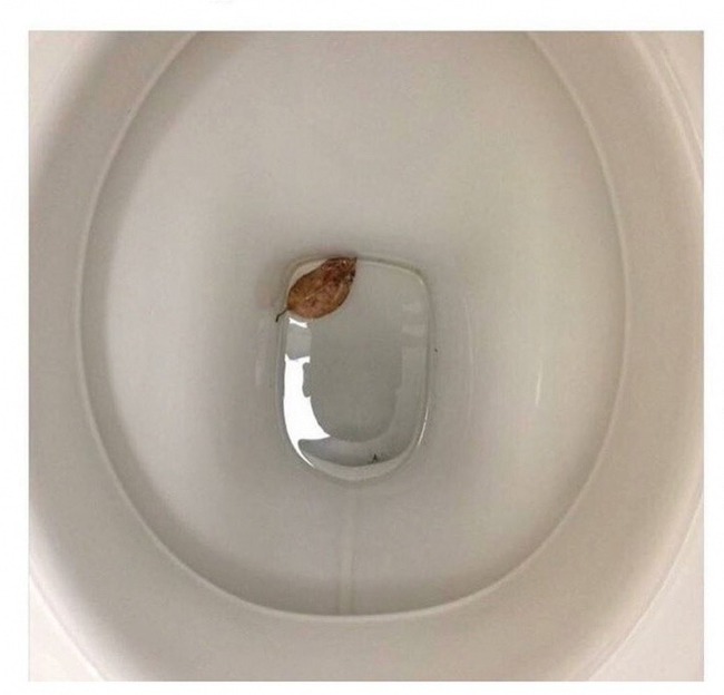 �������, ���������� � �������� ����