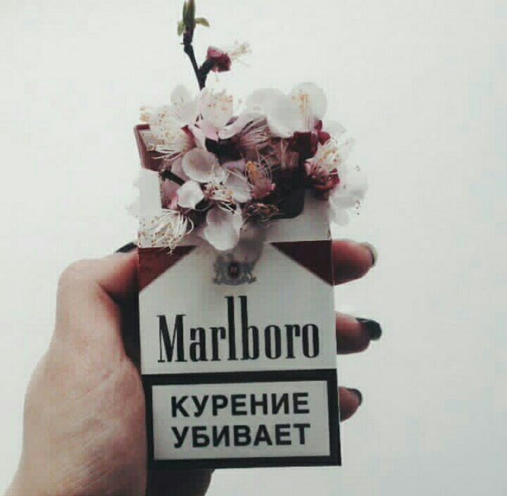 �������, ���������� � �������� ����
