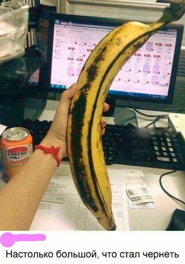 �������, ���������� � �������� ����