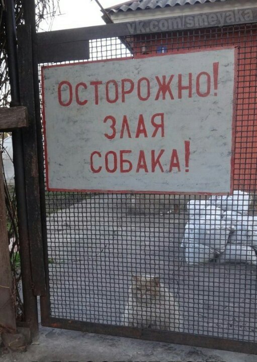 �������, ���������� � �������� ����