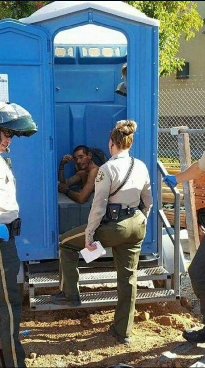 �������, ���������� � �������� ����