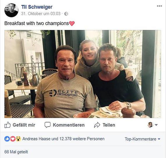 �������, ���������� � �������� ����