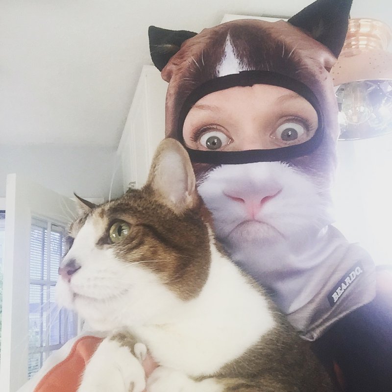 �������, ���������� � �������� ����