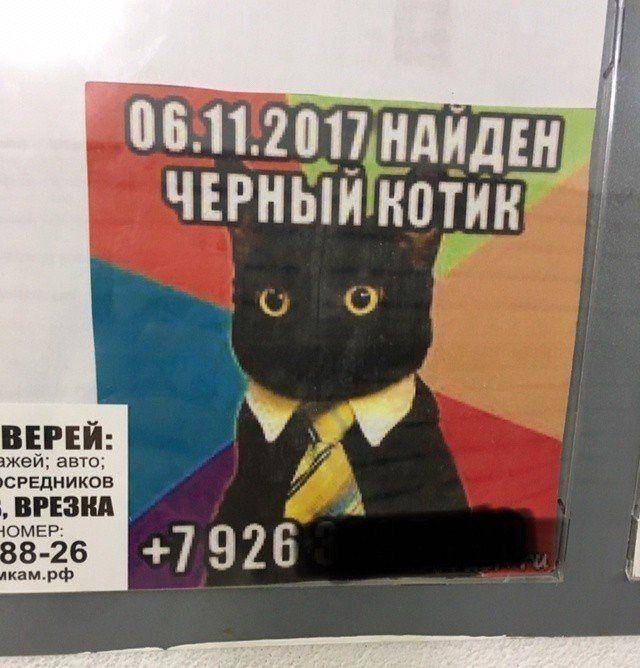 �������, ���������� � �������� ����