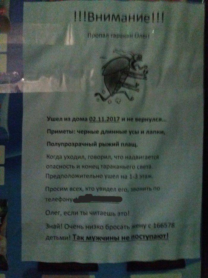 �������, ���������� � �������� ����