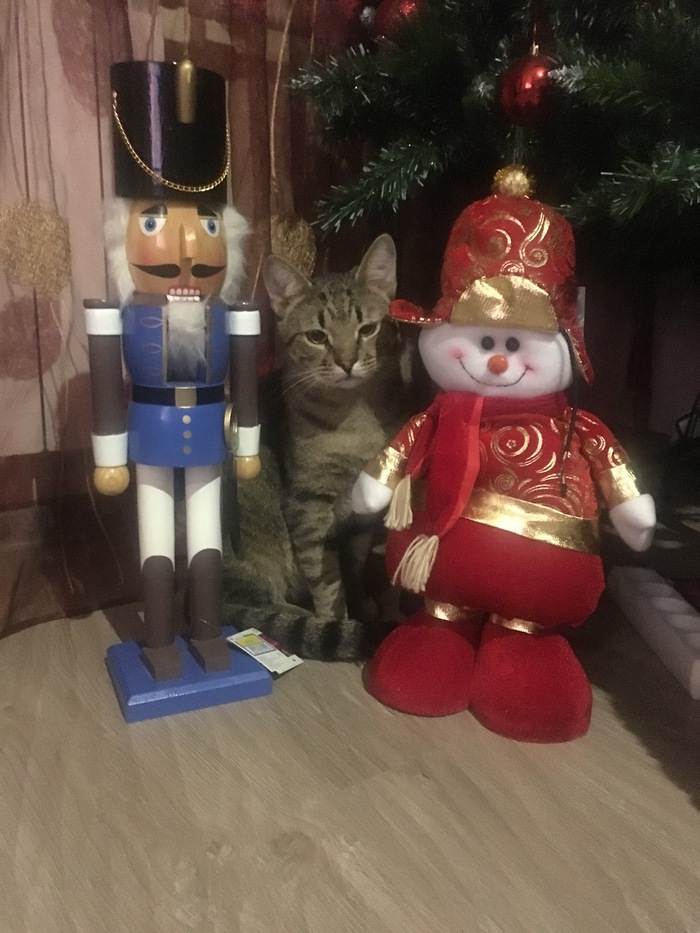 �������, ���������� � �������� ����