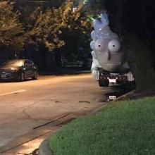 �������, ���������� � �������� ����