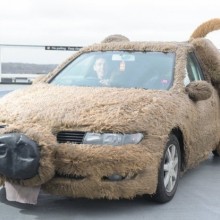 �������, ���������� � �������� ����