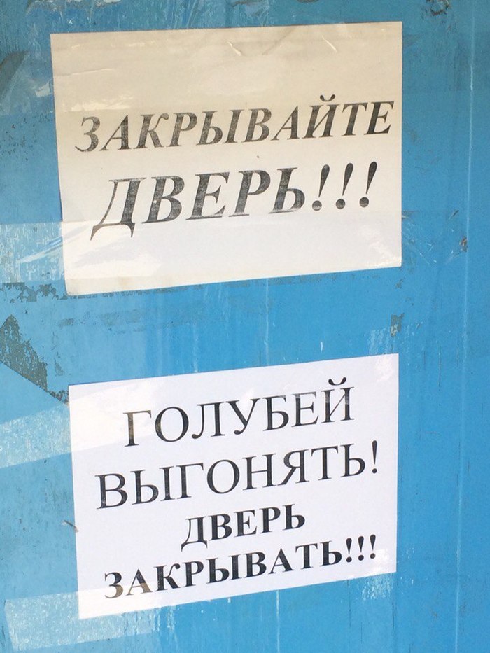 �������, ���������� � �������� ����