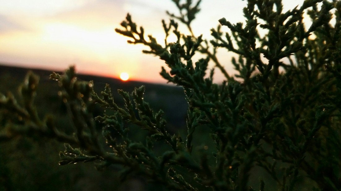 �������, ���������� � �������� ����