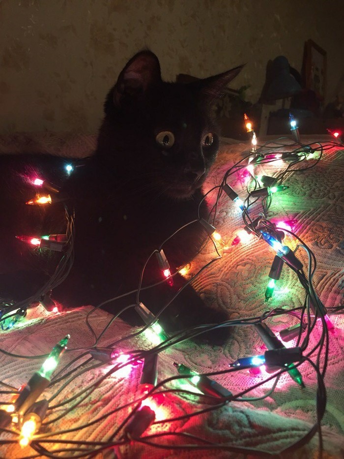 �������, ���������� � �������� ����