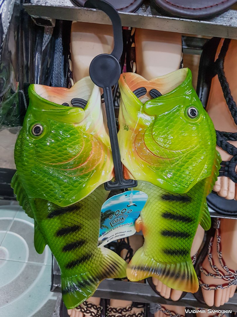 �������, ���������� � �������� ����