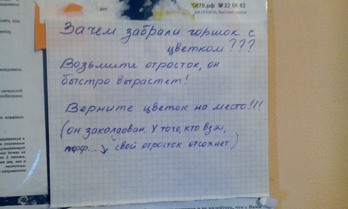 �������, ���������� � �������� ����