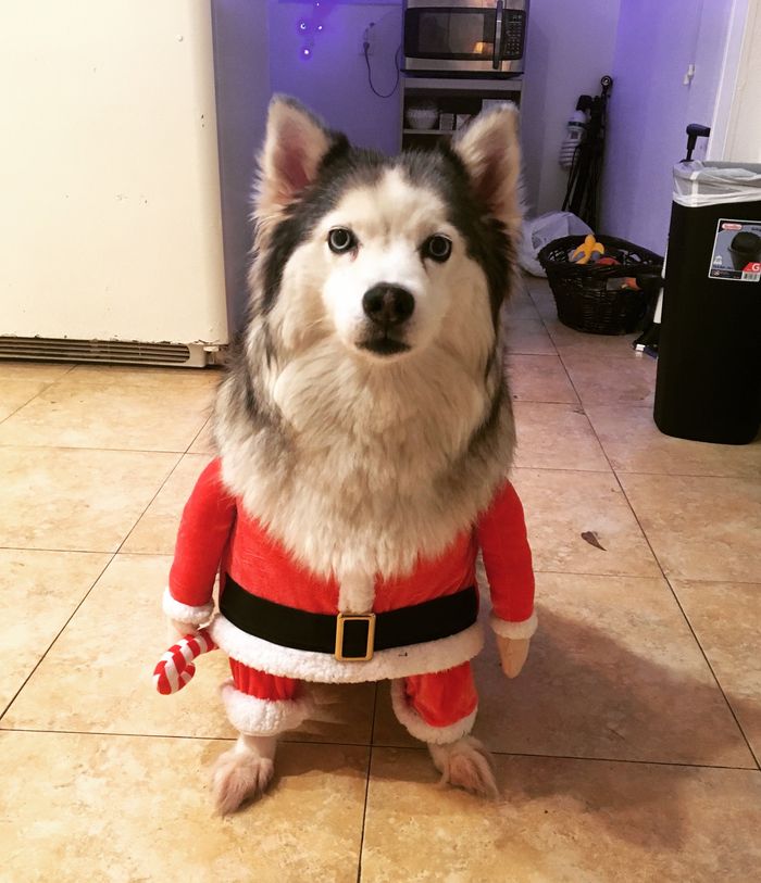 �������, ���������� � �������� ����