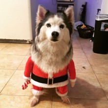 �������, ���������� � �������� ����