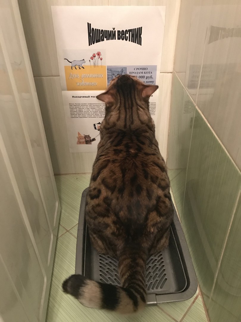 �������, ���������� � �������� ����