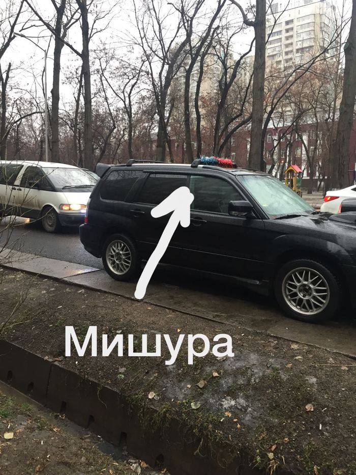 �������, ���������� � �������� ����
