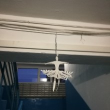�������, ���������� � �������� ����