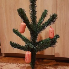 �������, ���������� � �������� ����