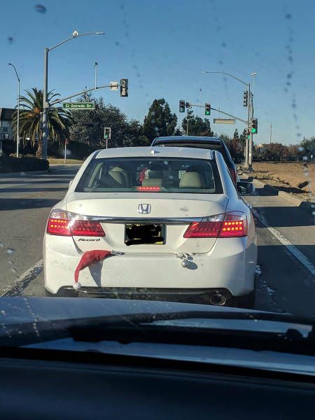 �������, ���������� � �������� ����