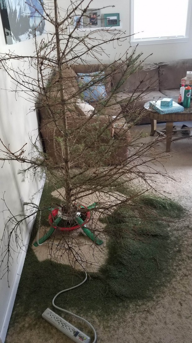 �������, ���������� � �������� ����