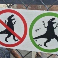�������, ���������� � �������� ����