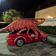 �������, ���������� � �������� ����