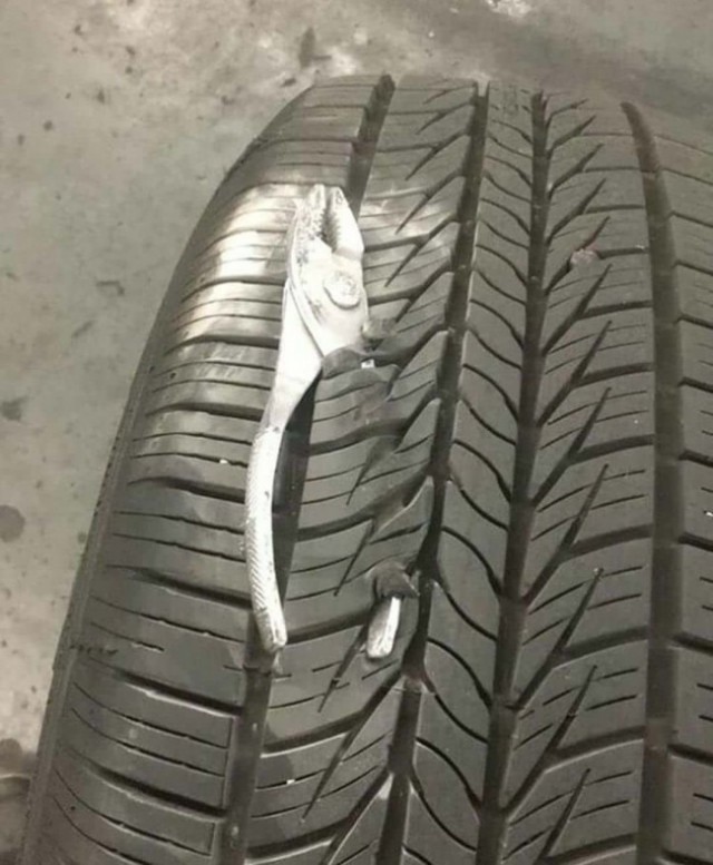 �������, ���������� � �������� ����