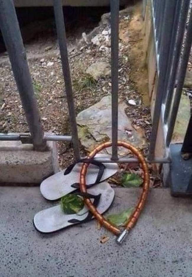 �������, ���������� � �������� ����