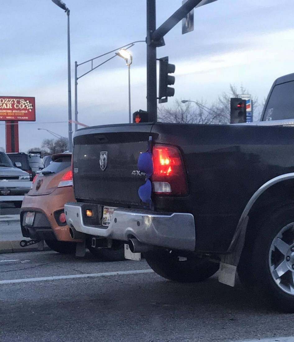 �������, ���������� � �������� ����