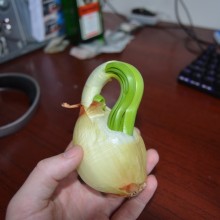 �������, ���������� � �������� ����