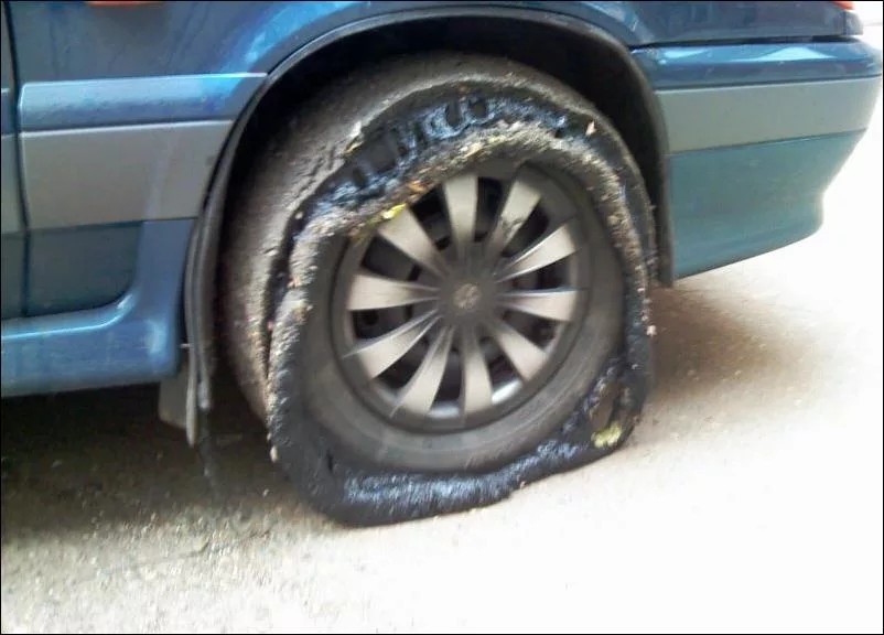 �������, ���������� � �������� ����