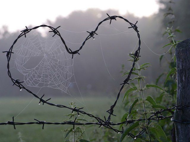 �������, ���������� � �������� ����