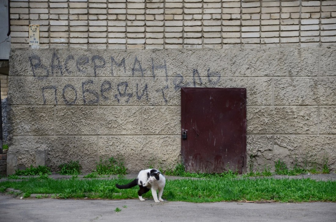 �������, ���������� � �������� ����