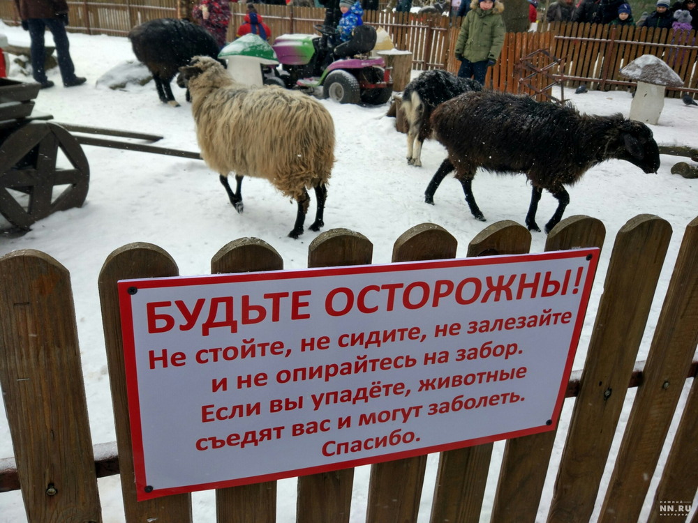 �������, ���������� � �������� ����