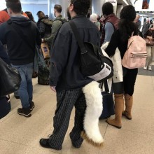 �������, ���������� � �������� ����