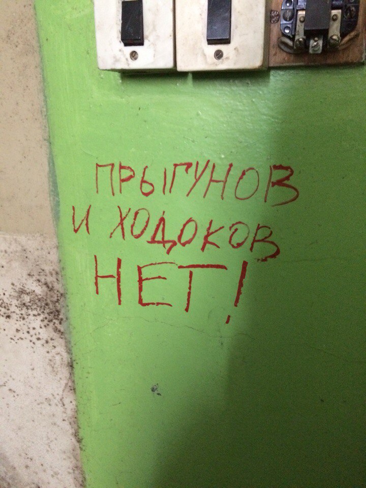 �������, ���������� � �������� ����