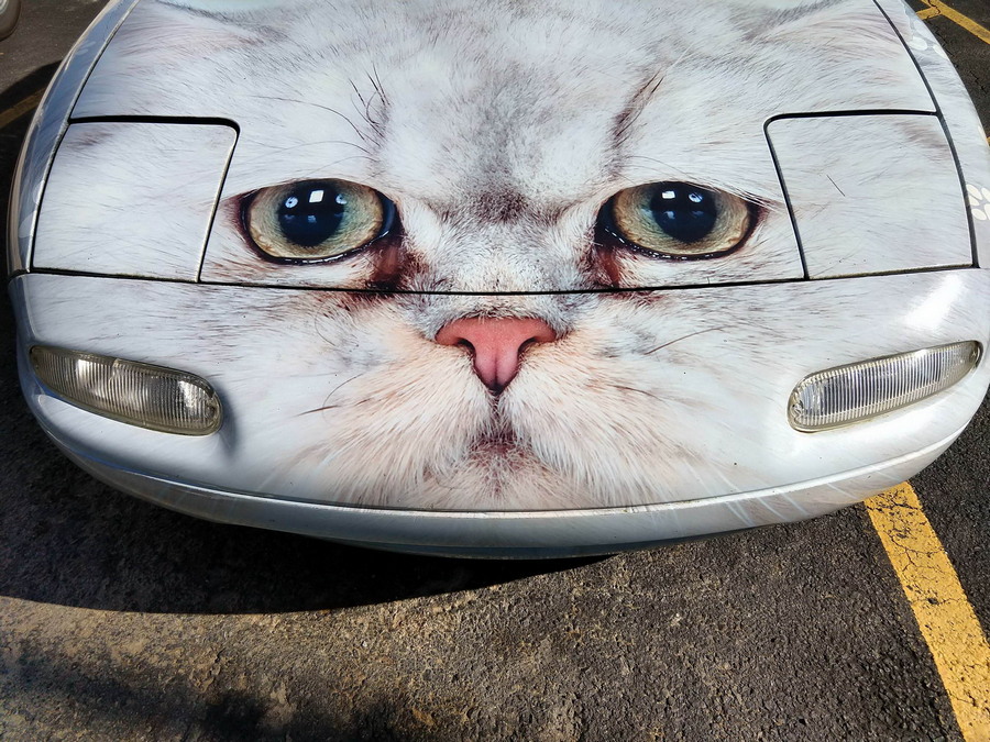 �������, ���������� � �������� ����