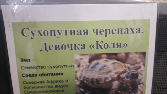 �������, ���������� � �������� ����